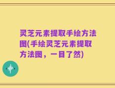 灵芝元素提取手绘方法图(手绘灵芝元素提取方法图，一目了然)
