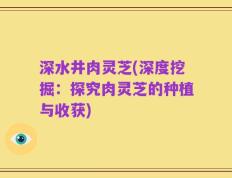 深水井肉灵芝(深度挖掘：探究肉灵芝的种植与收获)
