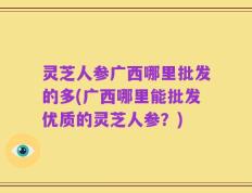 灵芝人参广西哪里批发的多(广西哪里能批发优质的灵芝人参？)