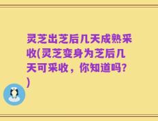 灵芝出芝后几天成熟采收(灵芝变身为芝后几天可采收，你知道吗？)