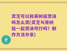 灵芝可以和茶树菇煲汤吗怎么煲(灵芝与茶树菇一起煲汤可行吗？制作方法分享)