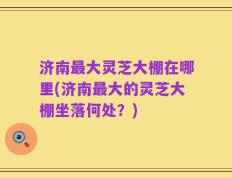 济南最大灵芝大棚在哪里(济南最大的灵芝大棚坐落何处？)