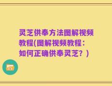 灵芝供奉方法图解视频教程(图解视频教程：如何正确供奉灵芝？)