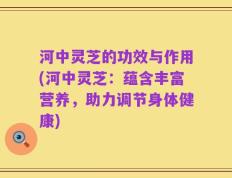 河中灵芝的功效与作用(河中灵芝：蕴含丰富营养，助力调节身体健康)