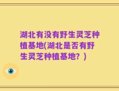 湖北有没有野生灵芝种植基地(湖北是否有野生灵芝种植基地？)