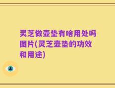 灵芝做壶垫有啥用处吗图片(灵芝壶垫的功效和用途)
