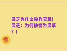 灵芝为什么称作灵草(灵芝：为何被誉为灵草？)