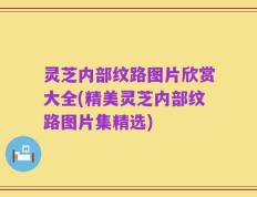 灵芝内部纹路图片欣赏大全(精美灵芝内部纹路图片集精选)