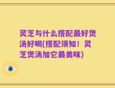 灵芝与什么搭配最好煲汤好喝(搭配须知！灵芝煲汤加它最美味)