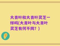 大青叶和大青叶灵芝一样吗(大青叶与大青叶灵芝有何不同？)