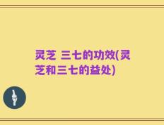 灵芝 三七的功效(灵芝和三七的益处)