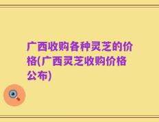 广西收购各种灵芝的价格(广西灵芝收购价格公布)