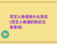 灵芝人参酒有什么禁忌(灵芝人参酒的禁忌注意事项)