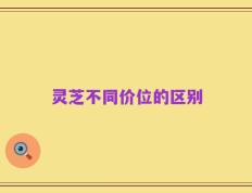 灵芝不同价位的区别