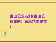 泰山灵芝石斛(泰山灵芝石斛：草本功效瑰宝)