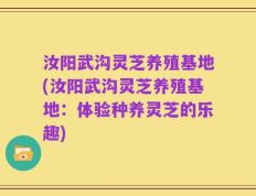 汝阳武沟灵芝养殖基地(汝阳武沟灵芝养殖基地：体验种养灵芝的乐趣)