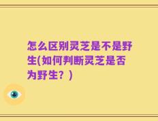 怎么区别灵芝是不是野生(如何判断灵芝是否为野生？)