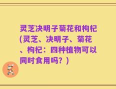 灵芝决明子菊花和枸杞(灵芝、决明子、菊花、枸杞：四种植物可以同时食用吗？)