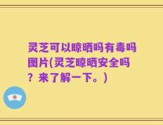 灵芝可以晾晒吗有毒吗图片(灵芝晾晒安全吗？来了解一下。)