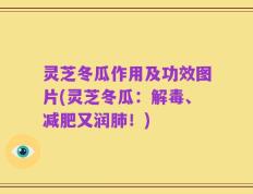 灵芝冬瓜作用及功效图片(灵芝冬瓜：解毒、减肥又润肺！)
