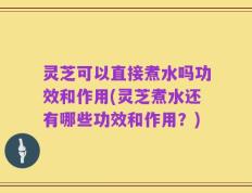 灵芝可以直接煮水吗功效和作用(灵芝煮水还有哪些功效和作用？)