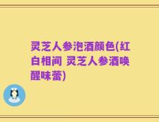 灵芝人参泡酒颜色(红白相间 灵芝人参酒唤醒味蕾)