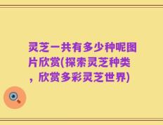灵芝一共有多少种呢图片欣赏(探索灵芝种类，欣赏多彩灵芝世界)