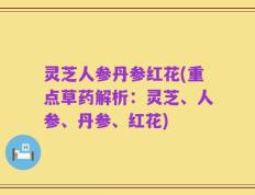 灵芝人参丹参红花(重点草药解析：灵芝、人参、丹参、红花)