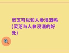 灵芝可以和人参浸酒吗(灵芝与人参浸酒的好处)