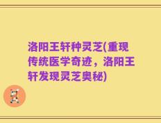 洛阳王轩种灵芝(重现传统医学奇迹，洛阳王轩发现灵芝奥秘)