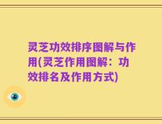 灵芝功效排序图解与作用(灵芝作用图解：功效排名及作用方式)