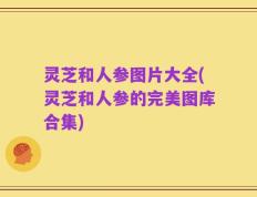 灵芝和人参图片大全(灵芝和人参的完美图库合集)