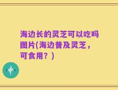 海边长的灵芝可以吃吗图片(海边普及灵芝，可食用？)