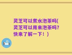 灵芝可以煮水泡茶吗(灵芝可以用来泡茶吗？快来了解一下！)