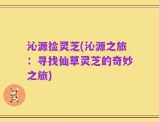 沁源捡灵芝(沁源之旅：寻找仙草灵芝的奇妙之旅)
