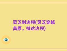 灵芝到边坝(灵芝穿越高原，抵达边坝)