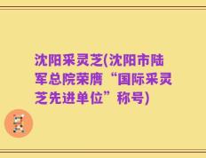 沈阳采灵芝(沈阳市陆军总院荣膺“国际采灵芝先进单位”称号)