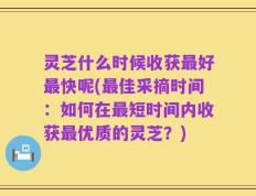 灵芝什么时候收获最好最快呢(最佳采摘时间：如何在最短时间内收获最优质的灵芝？)