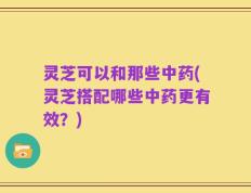 灵芝可以和那些中药(灵芝搭配哪些中药更有效？)