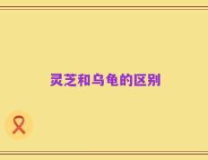 灵芝和乌龟的区别