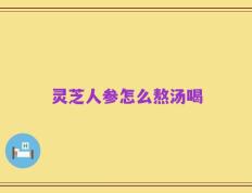灵芝人参怎么熬汤喝