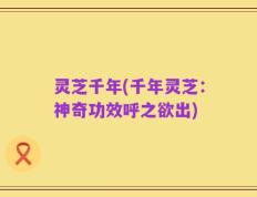 灵芝千年(千年灵芝：神奇功效呼之欲出)