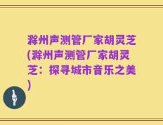 滁州声测管厂家胡灵芝(滁州声测管厂家胡灵芝：探寻城市音乐之美)