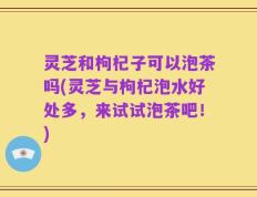灵芝和枸杞子可以泡茶吗(灵芝与枸杞泡水好处多，来试试泡茶吧！)
