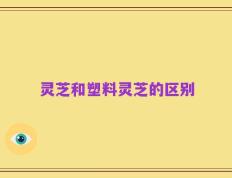 灵芝和塑料灵芝的区别
