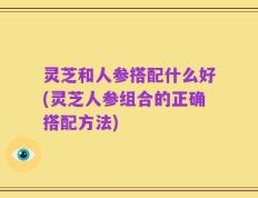 灵芝和人参搭配什么好(灵芝人参组合的正确搭配方法)