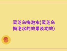 灵芝乌梅泡水(灵芝乌梅泡水的效果及功效)