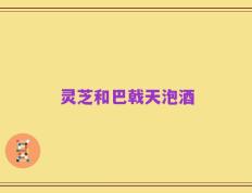 灵芝和巴戟天泡酒