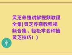 灵芝养殖讲解视频教程全集(灵芝养殖教程视频合集，轻松学会种植灵芝技巧！)