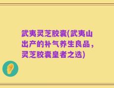 武夷灵芝胶囊(武夷山出产的补气养生良品，灵芝胶囊皇者之选)